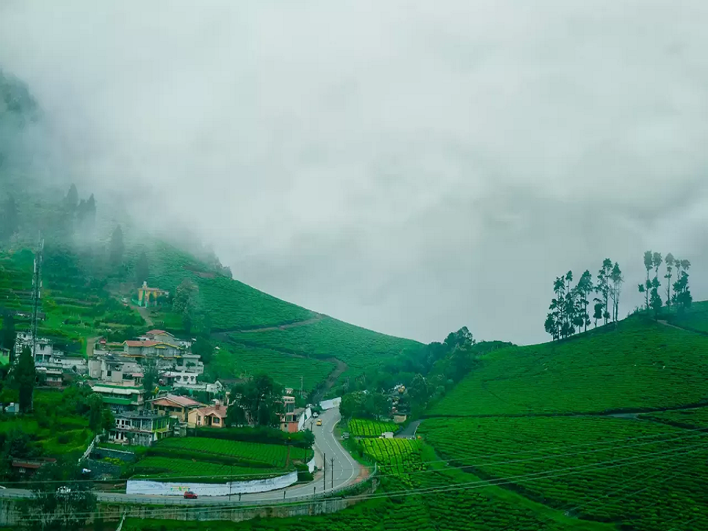 Ooty Tour Package